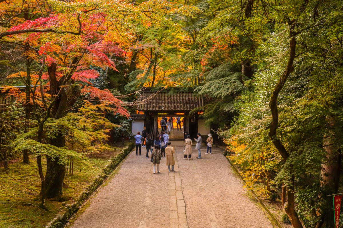 A gravel path winds to the temple gate beneath maples turning red and gold.