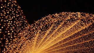 三重県 なばなの里｜国内最大級の花と光のファンタジーなばなの里